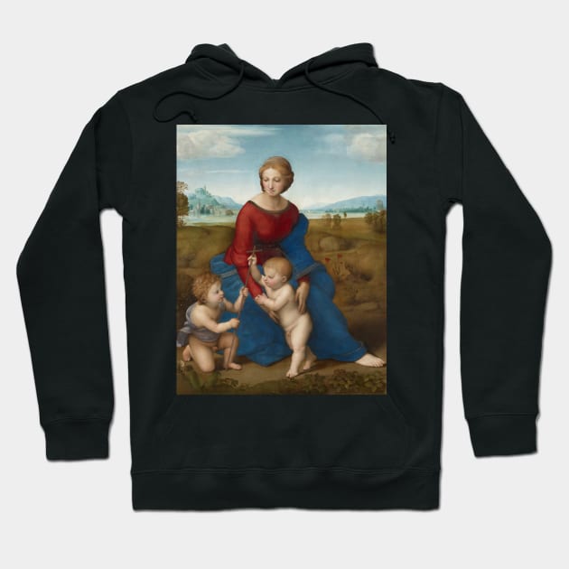 Madonna in the Meadow by Raphael Hoodie by Classic Art Stall